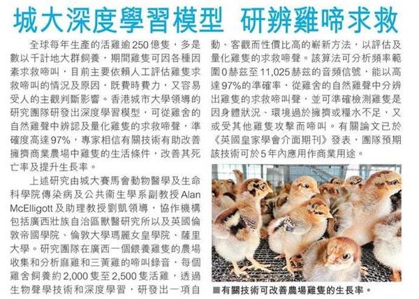20220712-香港仔-城大深度學習模型研辨雞啼求救